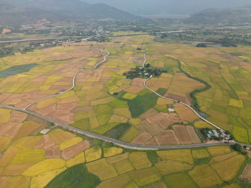 Kho gạo của Gạo Thảo